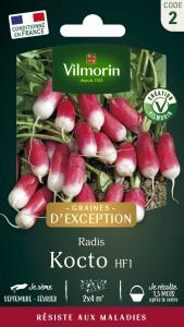 Radis Kocto HF1 - Graines d'Exception